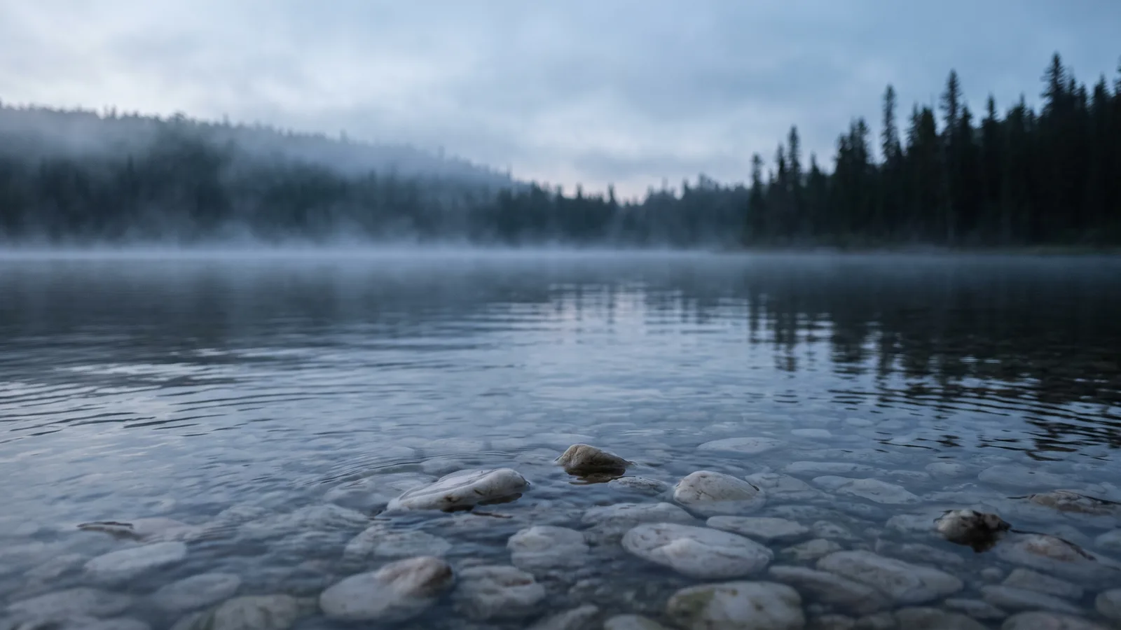 A still lake at first light, shallow water over pale stones in the foreground and mist on the far bank.