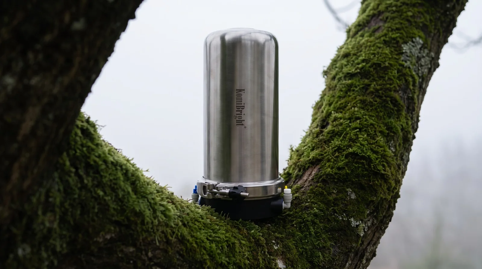 A stainless KomiBright housing standing in the fork of a moss-covered tree, against a pale winter sky.